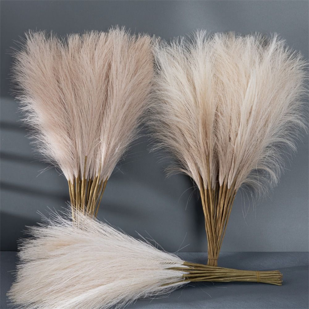 10 piezas/juego de decoración  - Pampas Grass Decor reseña y precio