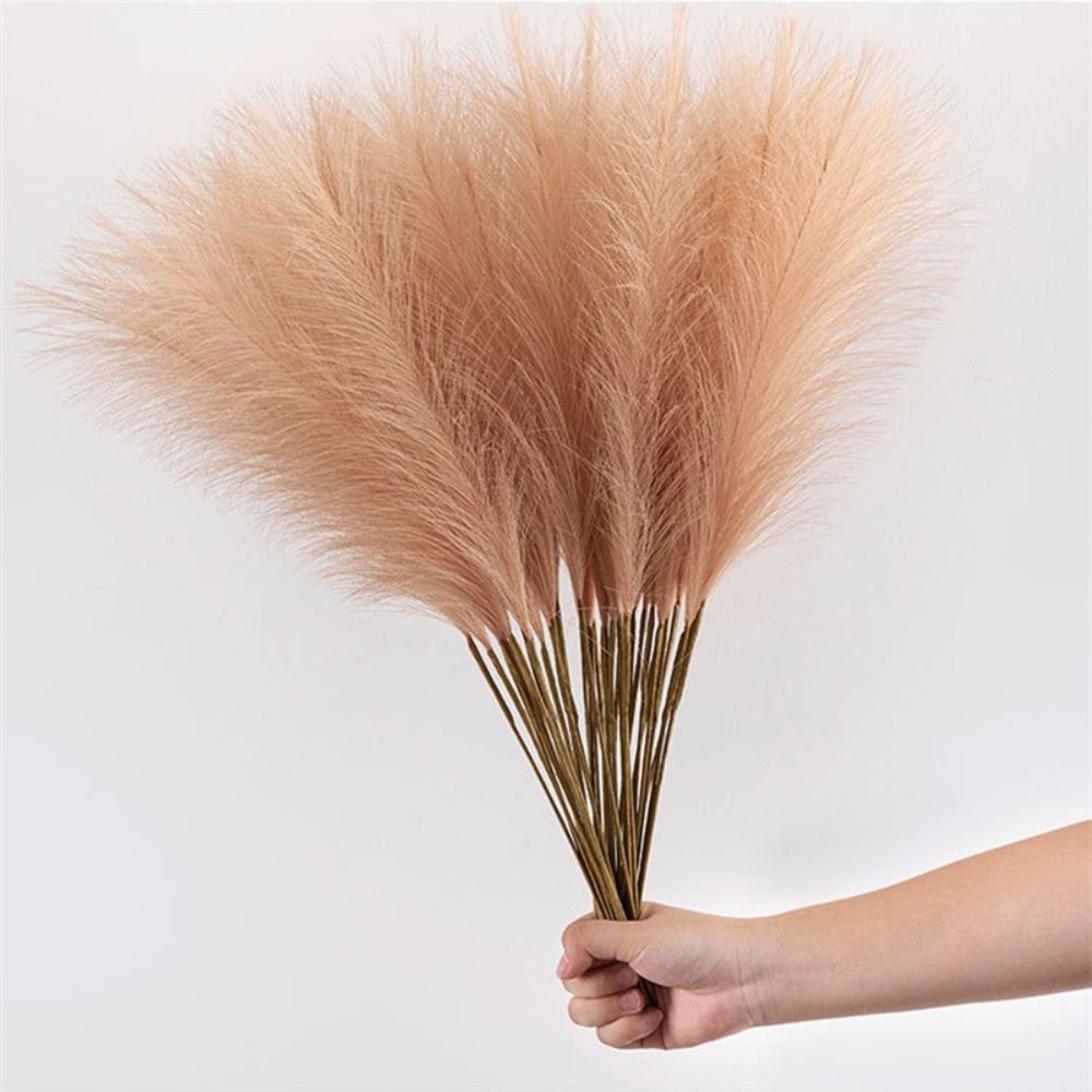 10 piezas/juego de decoración  - Pampas Grass Decor reseña y precio
