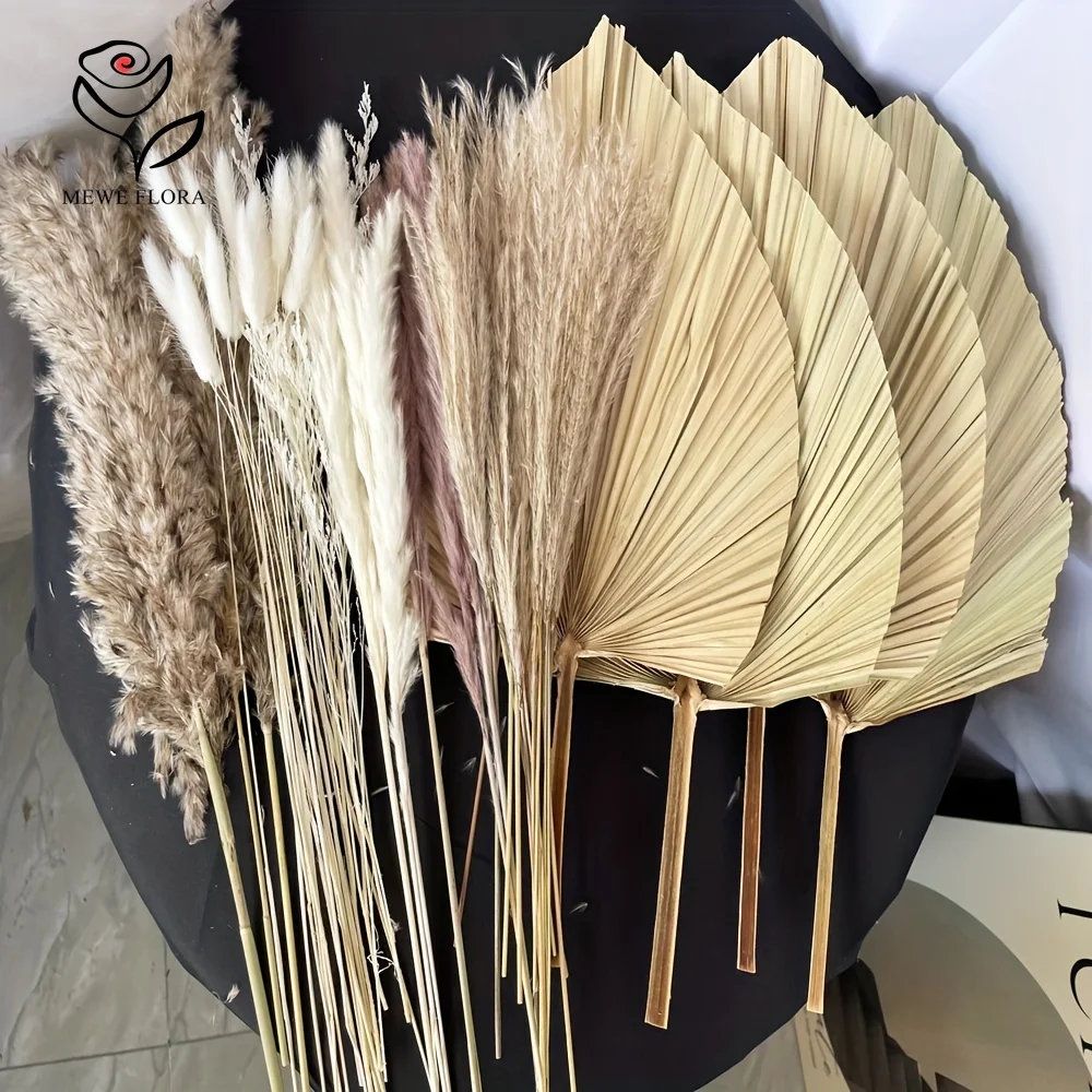 35 Uds. De hierba de Pampas Na - Pampas Grass Decor reseña y precio