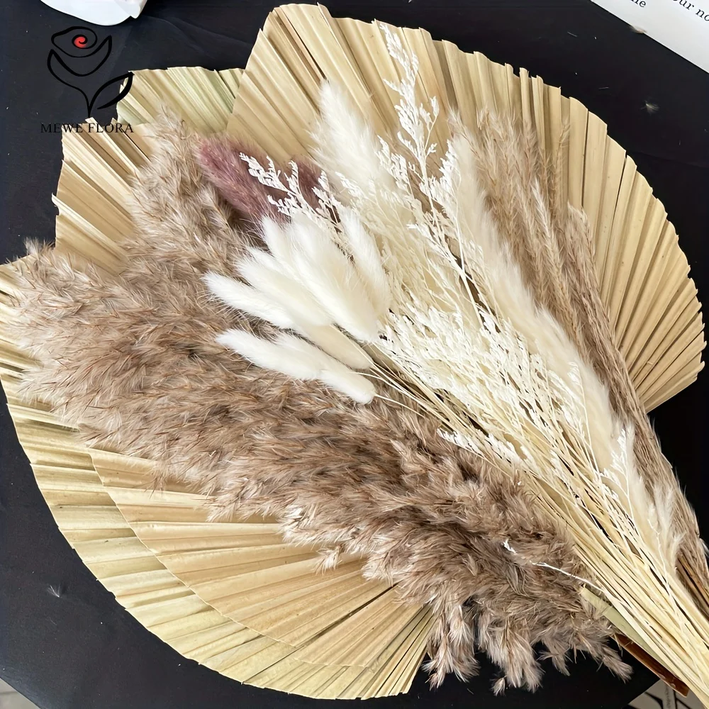 35 Uds. De hierba de Pampas Na - Pampas Grass Decor reseña y precio