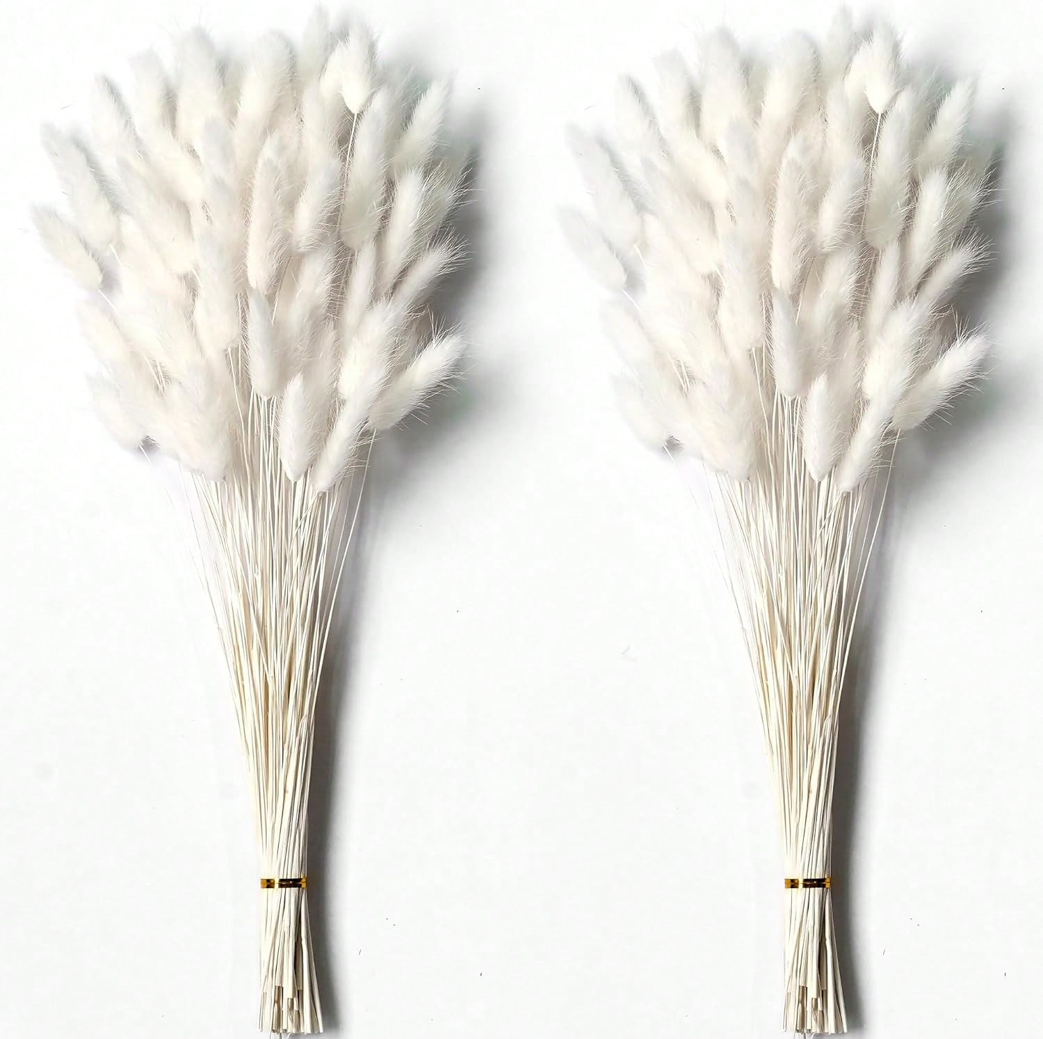 120 Uds. Decoración de hierba  - Pampas Grass Decor reseña y precio