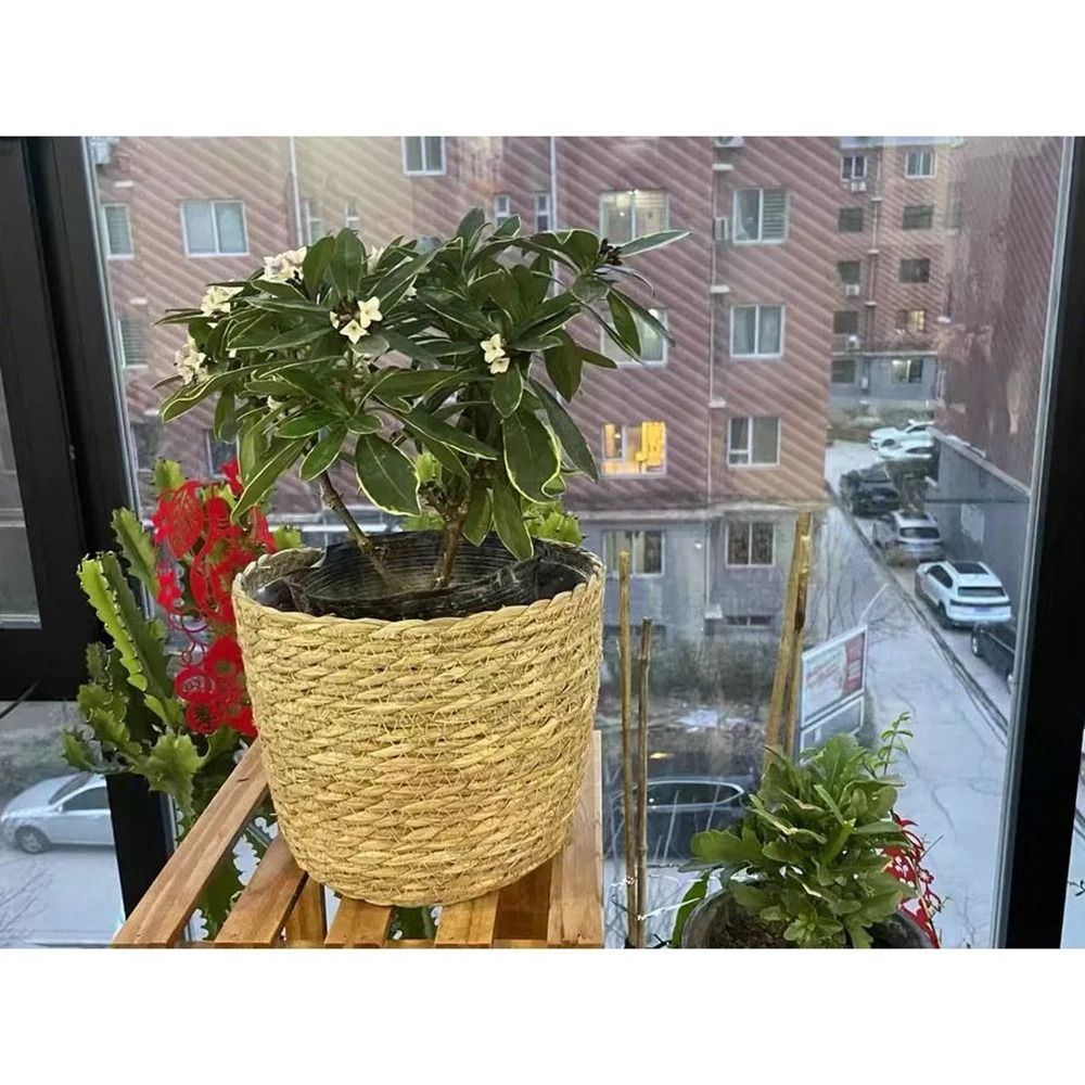 1 Uds. Para terrazas de jardín - Rattan Plant Basket reseña y precio